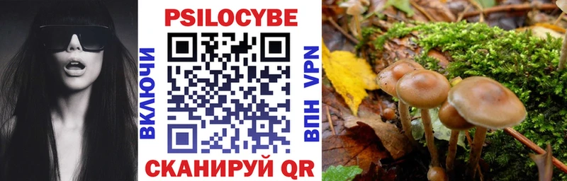 Псилоцибиновые грибы Psilocybine cubensis  KRAKEN ССЫЛКА  Фокино 