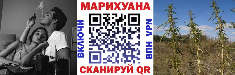 Каннабис Amnesia  кракен как зайти  Фокино  как найти закладки 